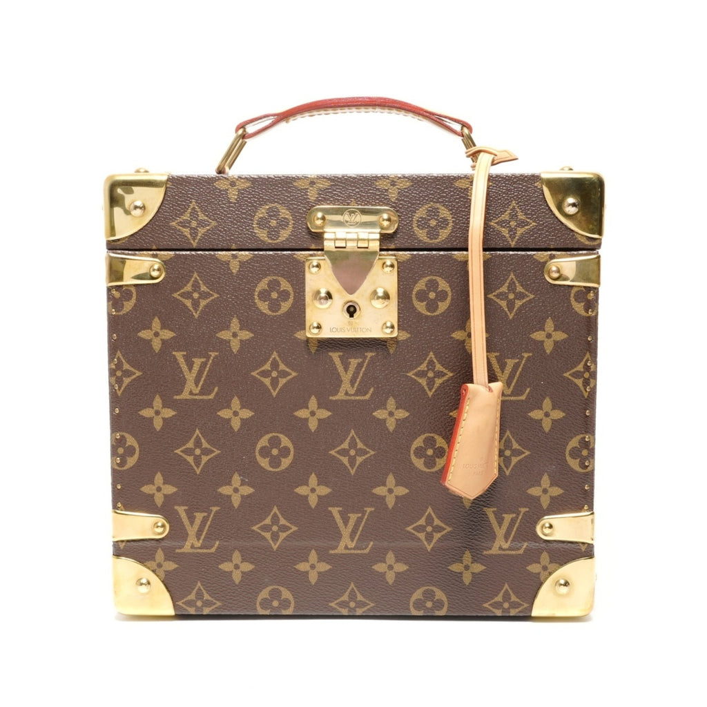 Louis Vuitton Brown Handbag