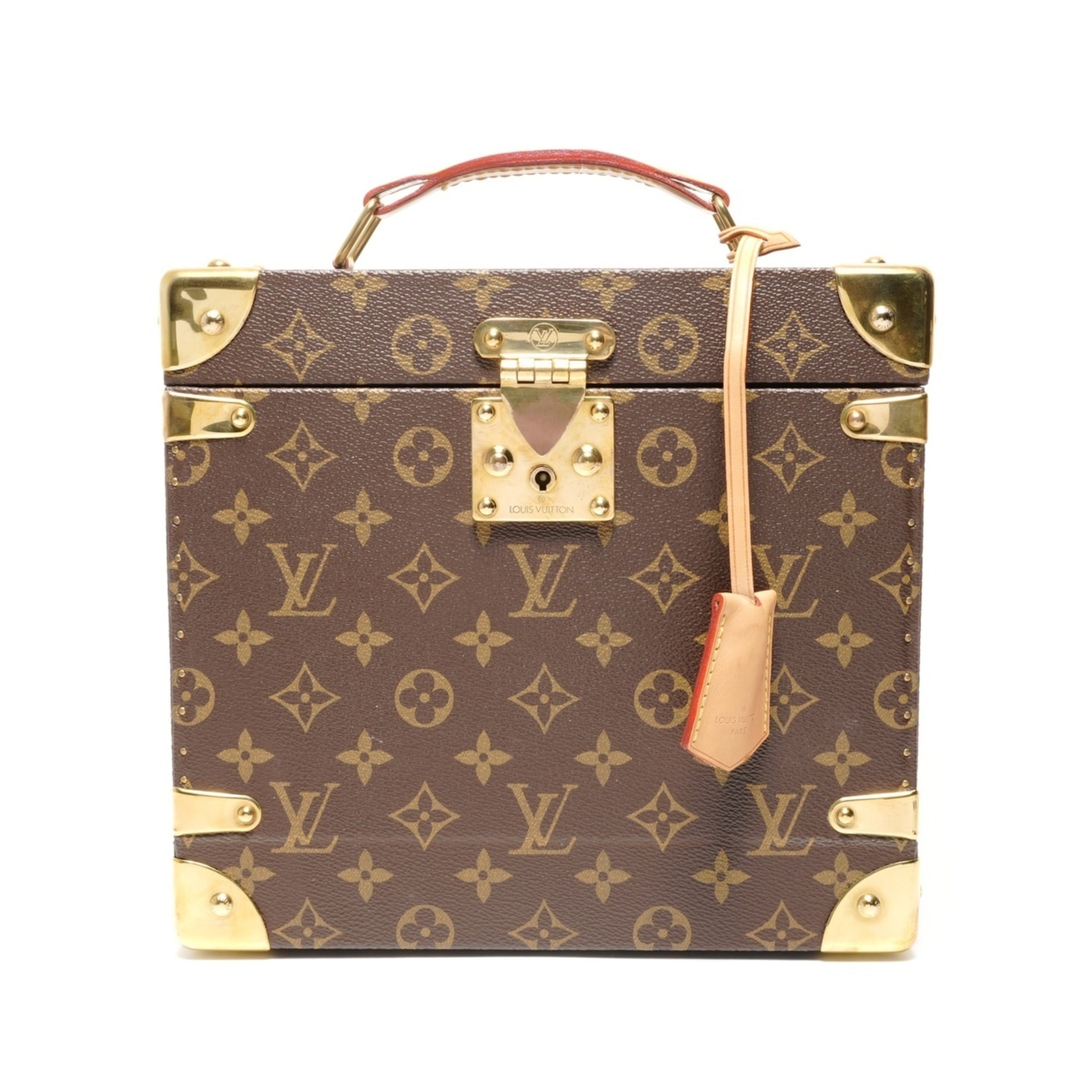 Louis Vuitton Brown Handbag