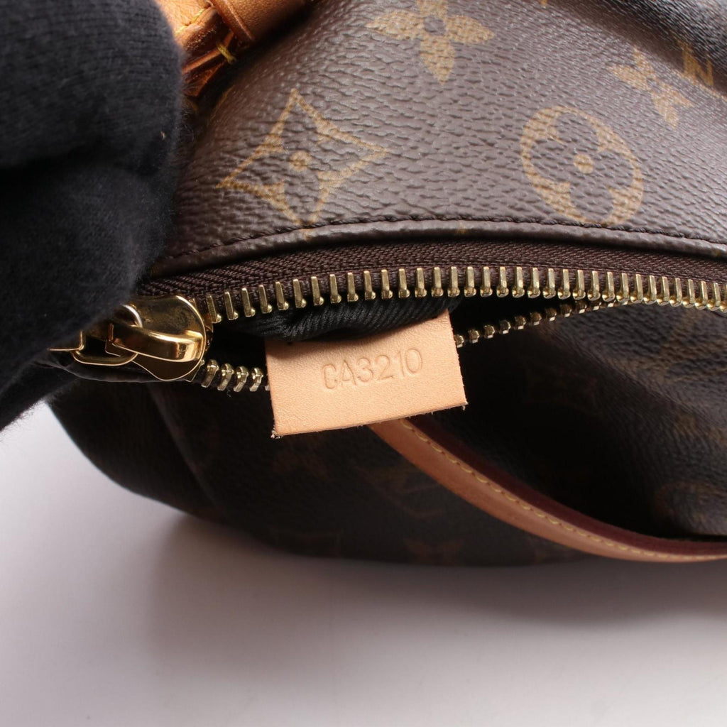 Louis Vuitton Brown Coated Canvas Pvc Monogram Leather Fanny Pack