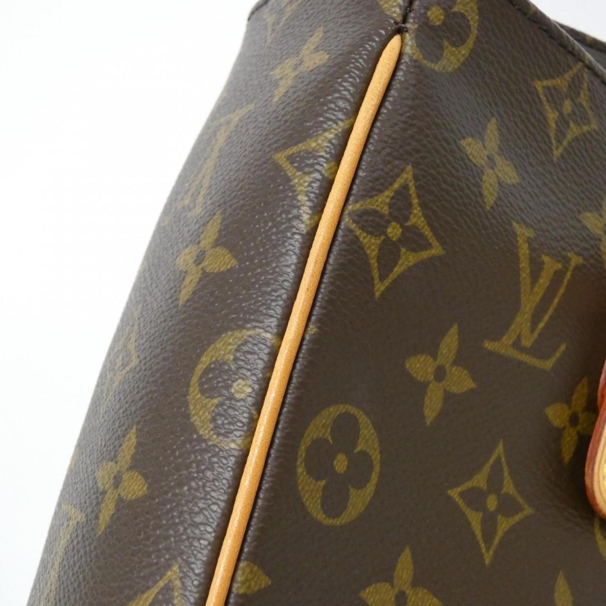 Louis Vuitton Marron Coated Canvas Handbag