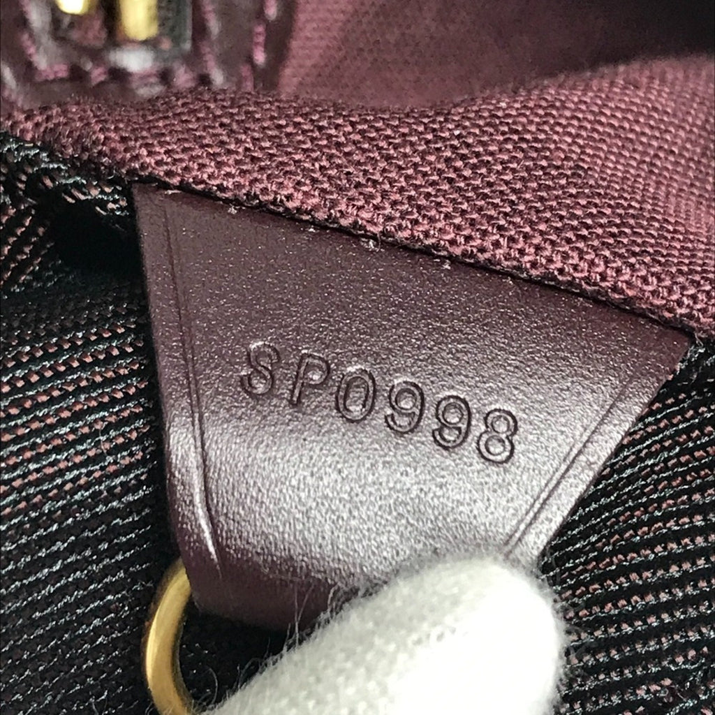 Louis Vuitton Acajou Taiga Leather Backpack