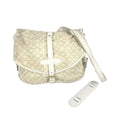 Louis Vuitton Monogram Mini Lin Beige Dune Monogram Mini Lin Shoulder Bag