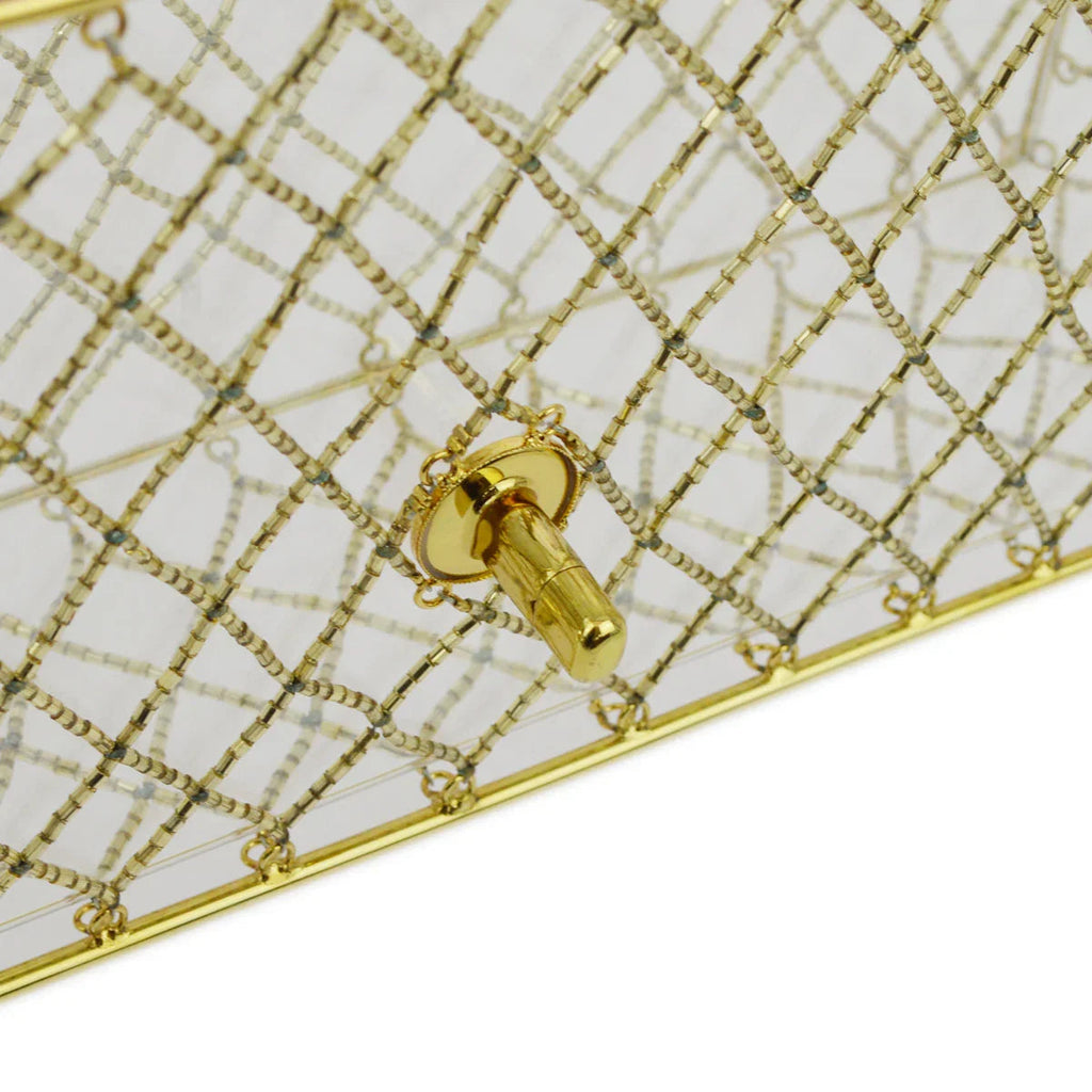 Chanel * Clear Cage Bag in Lucite with Beading, Gold Tone Frame and Chain Strap