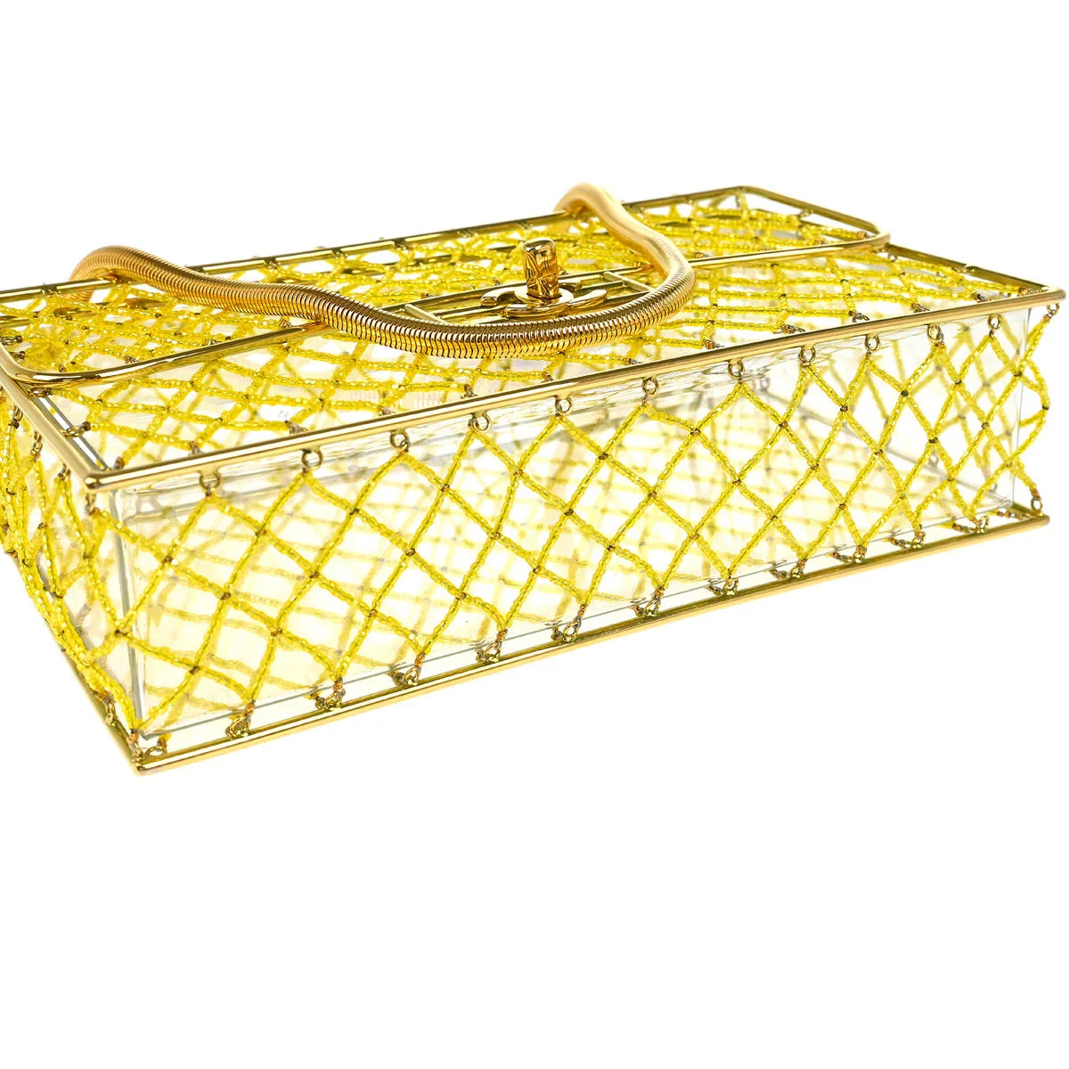 Chanel * Clear Cage Bag in Lucite with Beading, Gold Tone Frame and Chain Strap