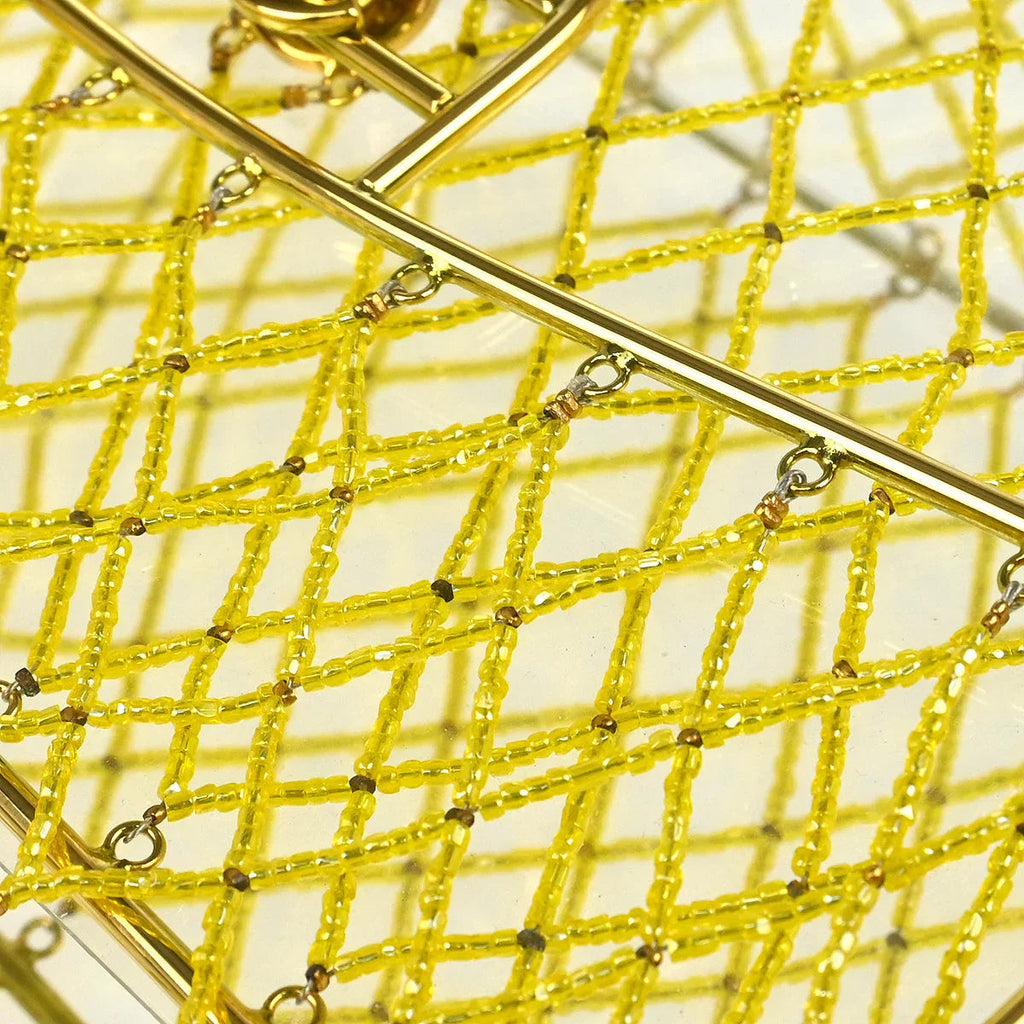 Chanel * Clear Cage Bag in Lucite with Beading, Gold Tone Frame and Chain Strap