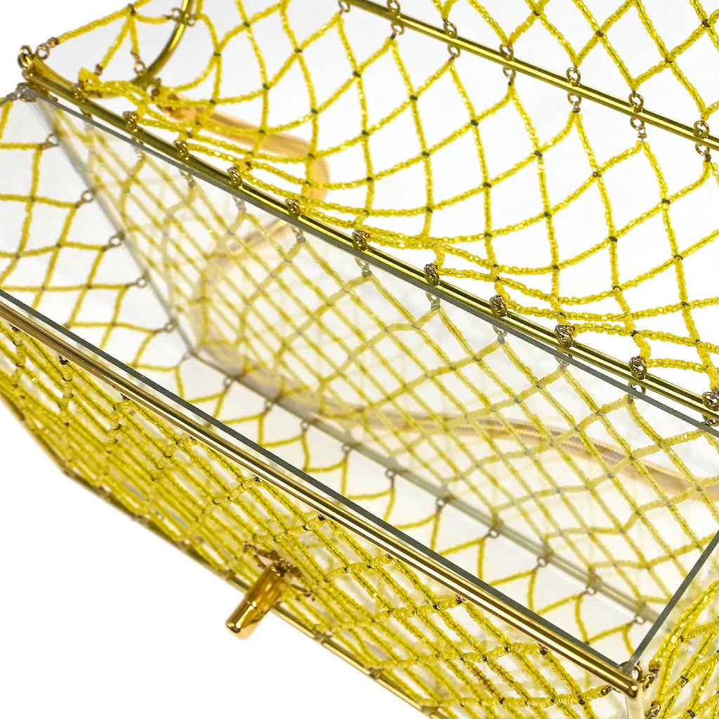 Chanel * Clear Cage Bag in Lucite with Beading, Gold Tone Frame and Chain Strap