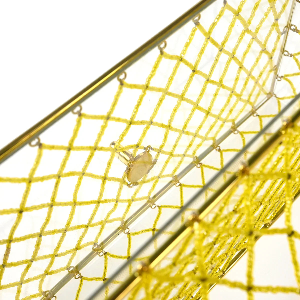 Chanel * Clear Cage Bag in Lucite with Beading, Gold Tone Frame and Chain Strap