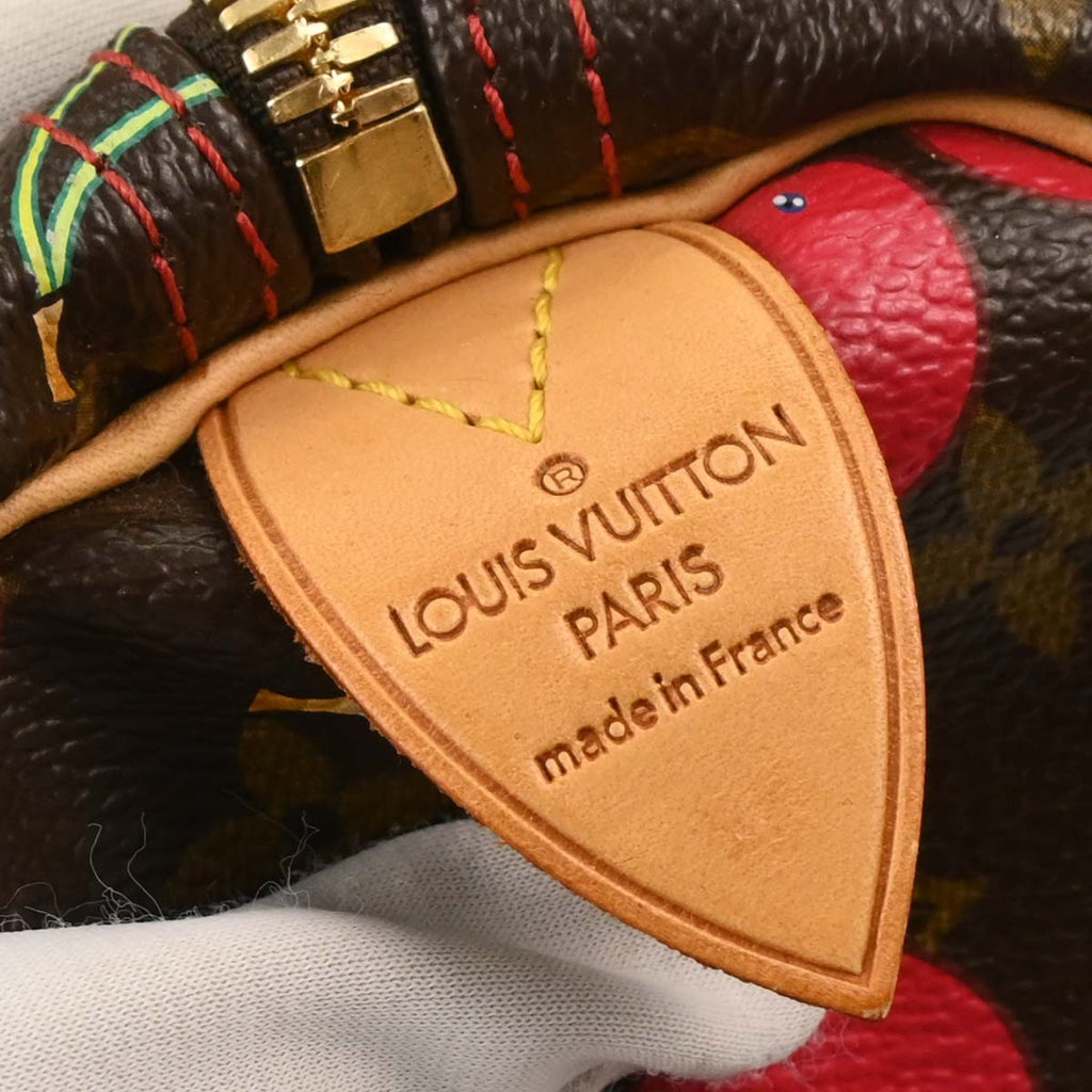 Louis Vuitton 2005 Monogram Cherry Keepall 45 Duffle Handbag M95011