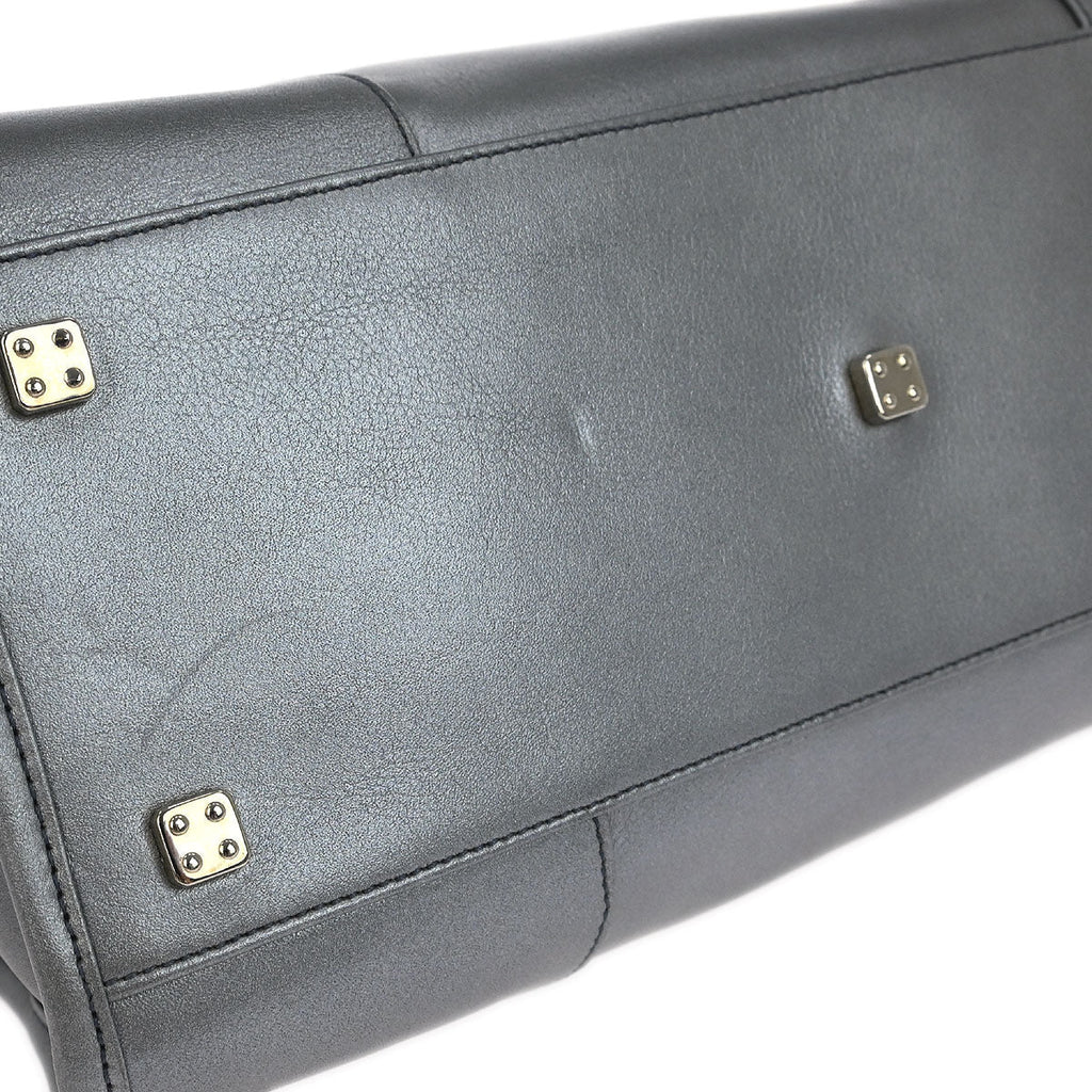 Loewe Silver Lambskin Amazona 28 Handbag