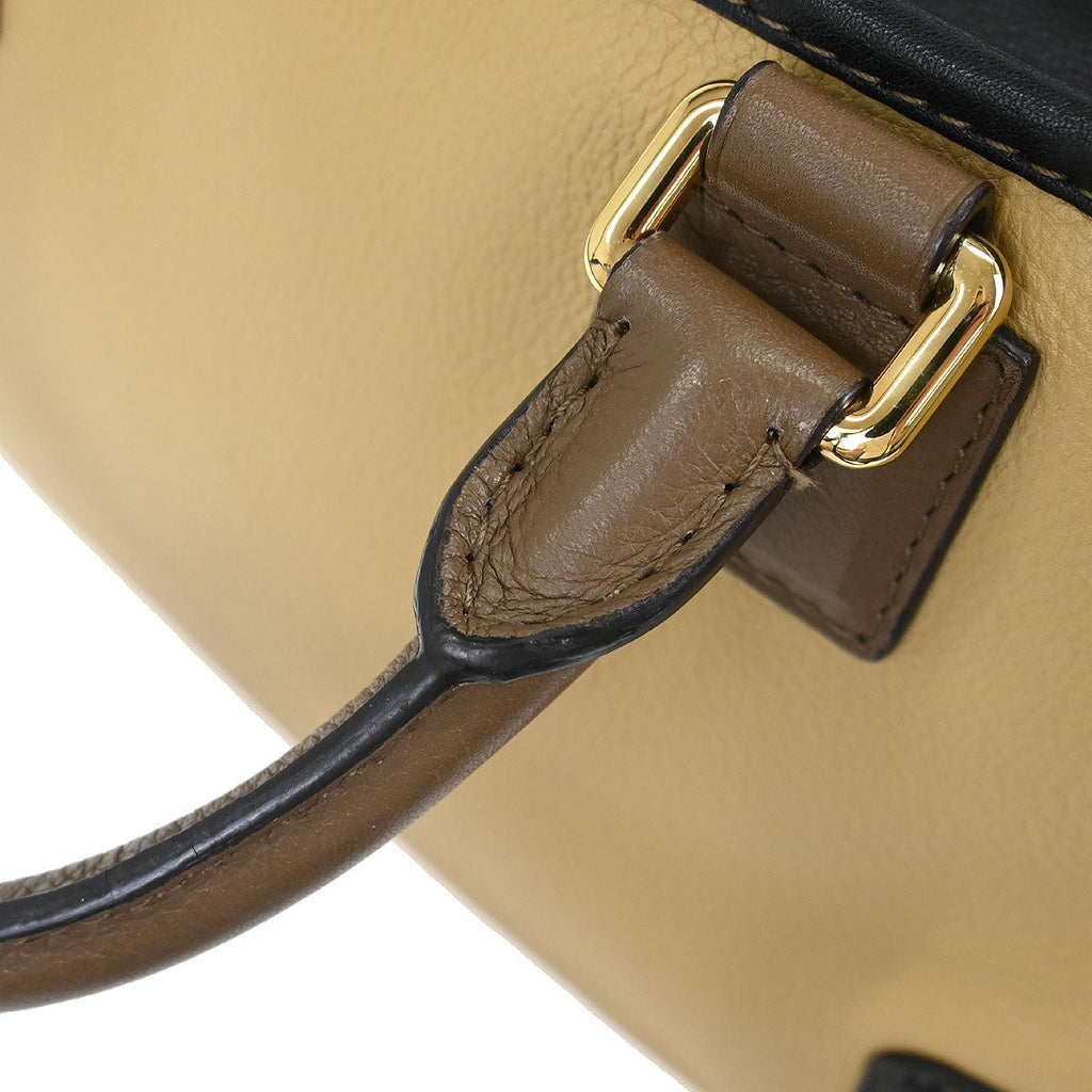 Loewe Beige Black Brown Amazona 28 Handbag