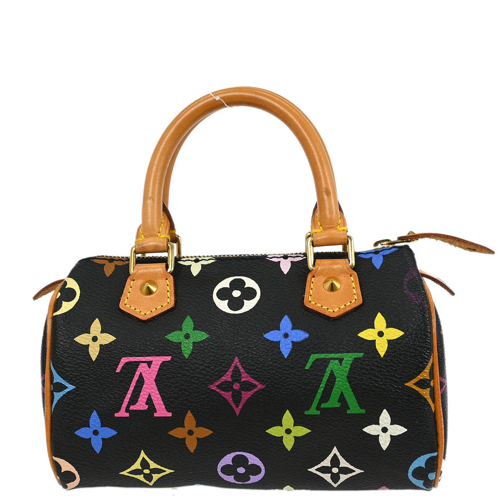 Louis Vuitton Multicolor Mini Speedy Handbag M92644