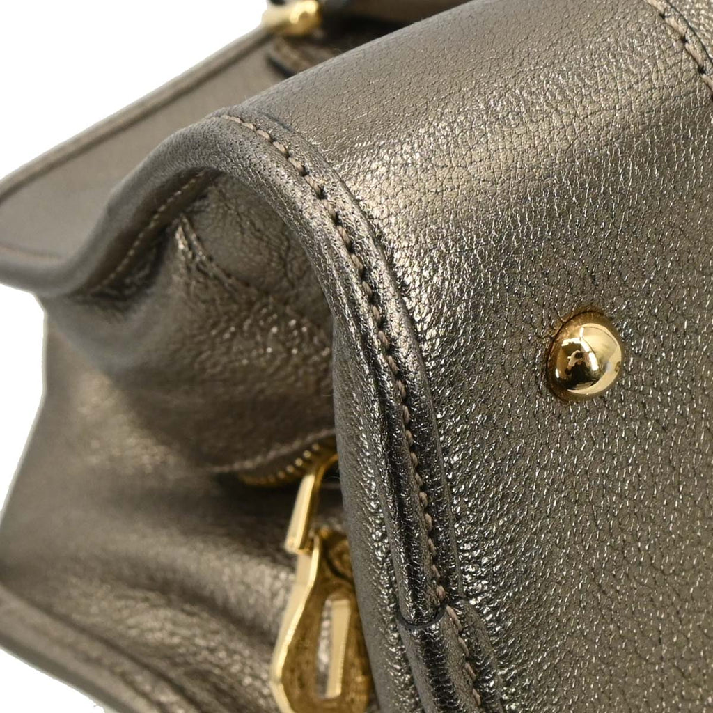 Loewe Gold Lambskin Amazona 28 Handbag