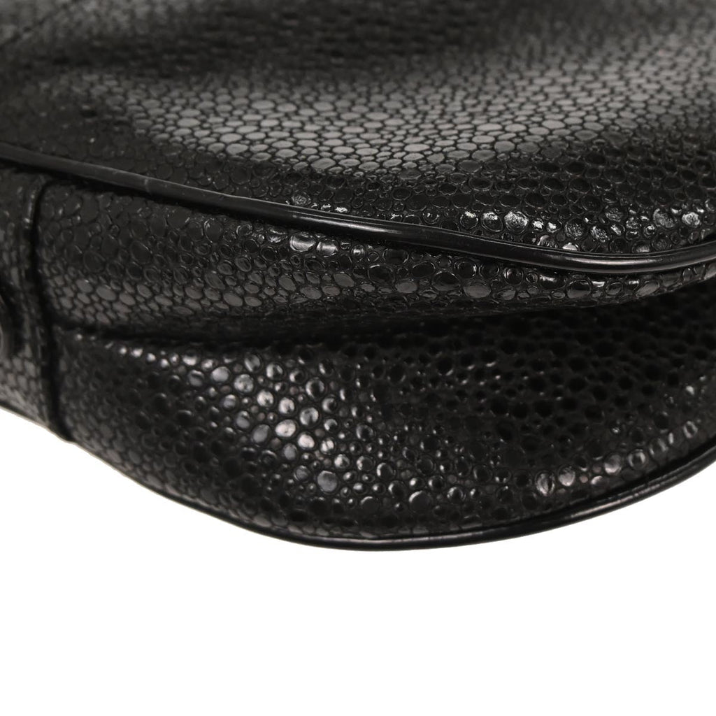 Christian Dior * Black Galuchat Stingray Double Saddle Handbag