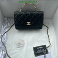 Chanel Bags Crossbody - 171