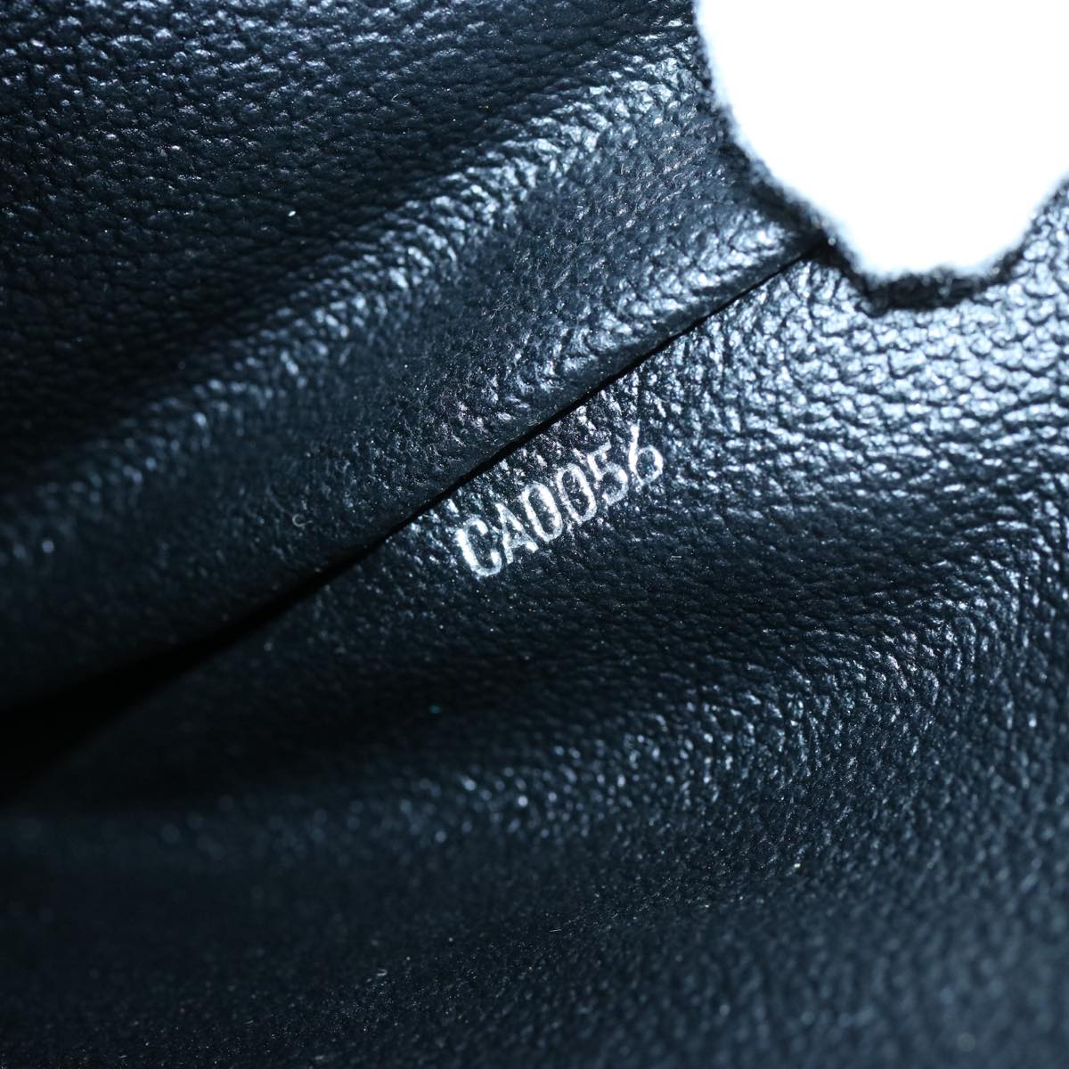 Louis Vuitton Clutch Bag