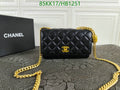 Chanel Bags Crossbody - 056
