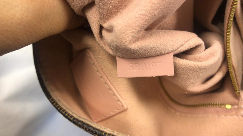 LOUIS VUITTON Caissa Damier Ebene Rose Ballerine Hobo Bag