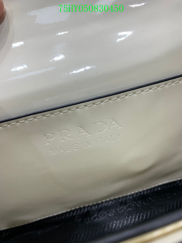 Prada Bags - The Luxera Bags  015