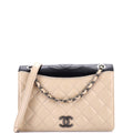 Chanel Ballerine Flap Bag Quilted Lambskin Small