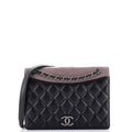 Chanel Ballerine Flap Bag Quilted Lambskin Small