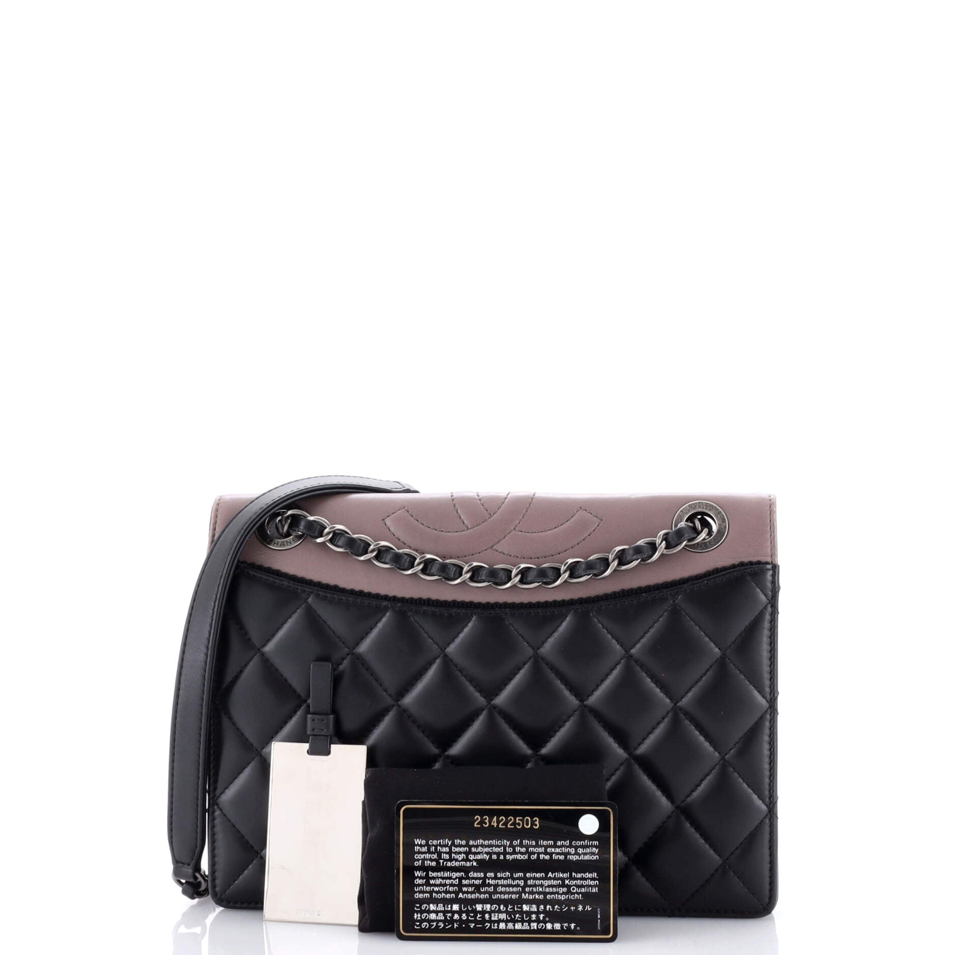 Chanel Ballerine Flap Bag Quilted Lambskin Small