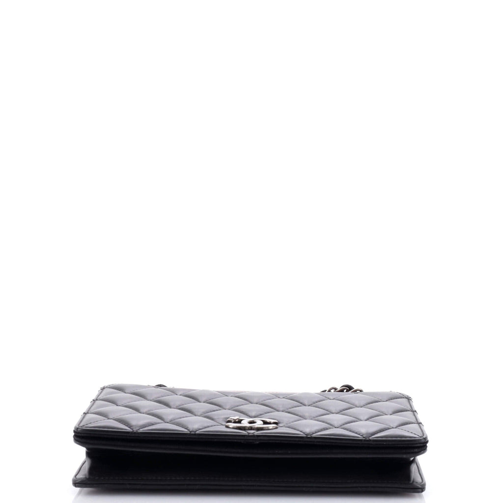 Chanel Ballerine Flap Bag Quilted Lambskin Small