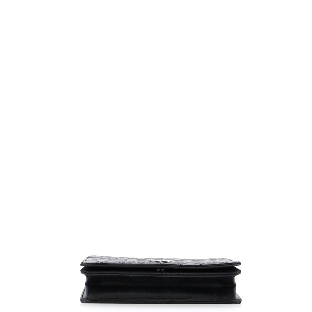 Chanel Ballerine Flap Bag Quilted Lambskin Small