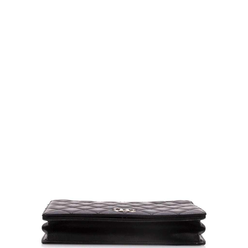 Chanel Ballerine Flap Bag Quilted Lambskin Medium