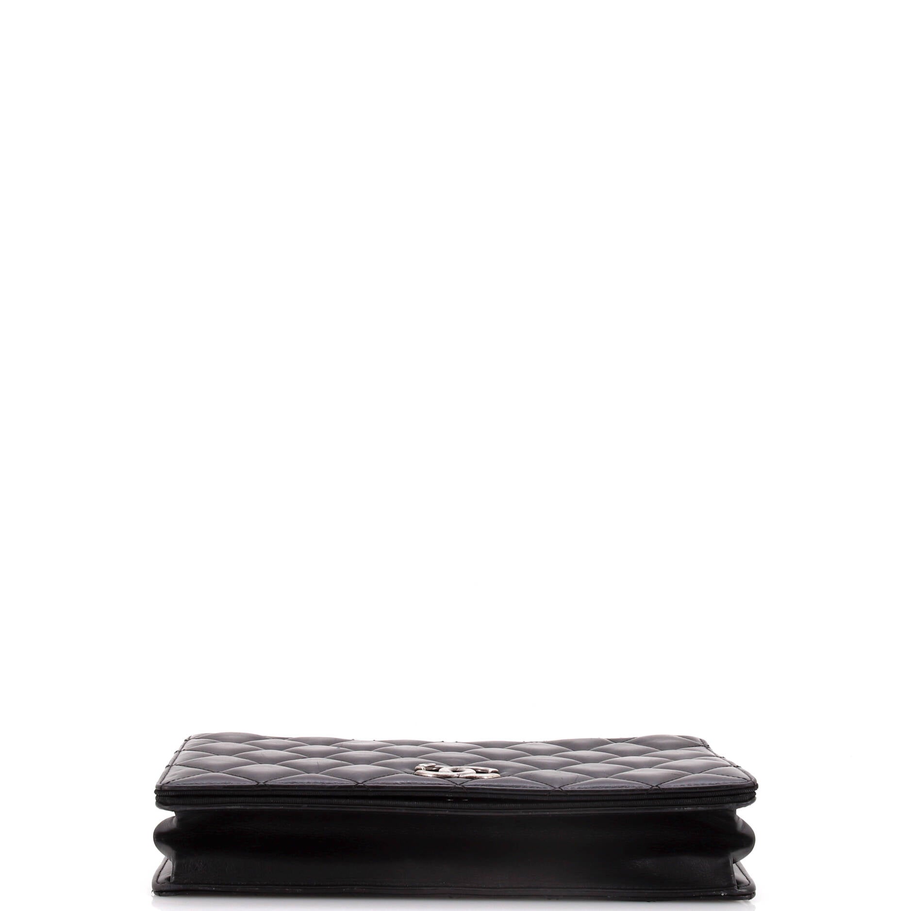 Chanel Ballerine Flap Bag Quilted Lambskin Medium