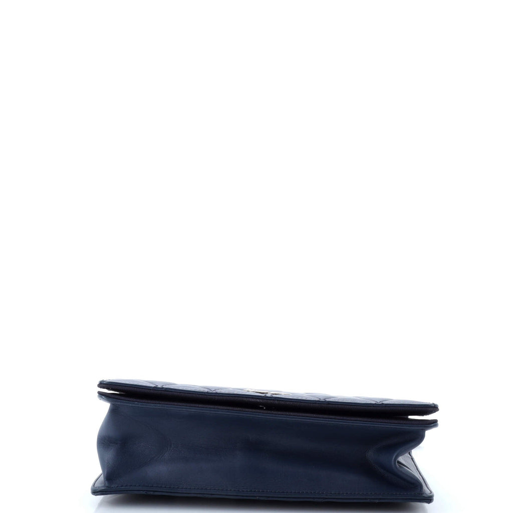 Chanel Ballerine Flap Bag Quilted Lambskin Medium