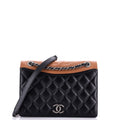 Chanel Ballerine Flap Bag Quilted Lambskin Medium