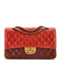 Chanel Tricolor Classic Double Flap Bag Quilted Lambskin Medium