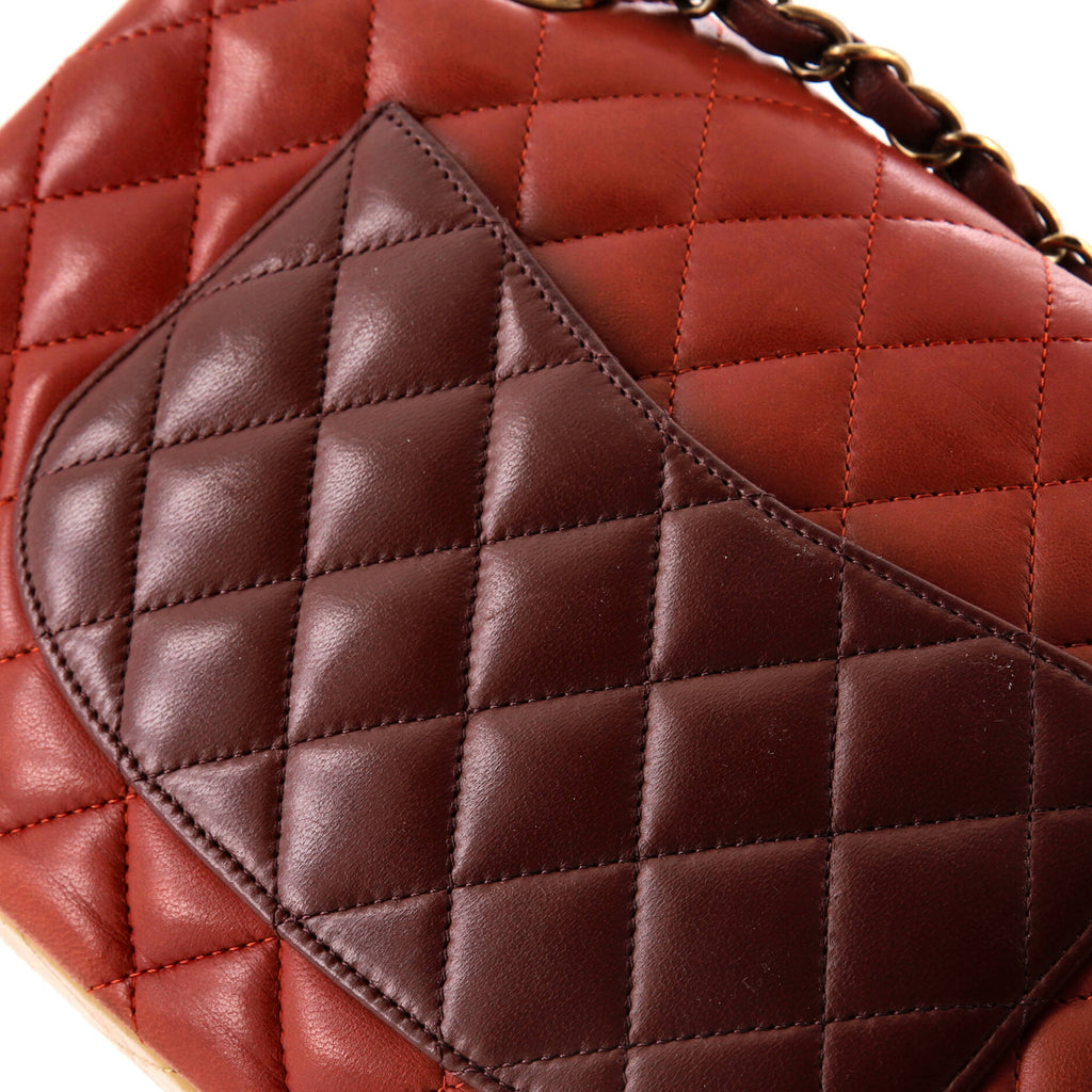 Chanel Tricolor Classic Double Flap Bag Quilted Lambskin Medium