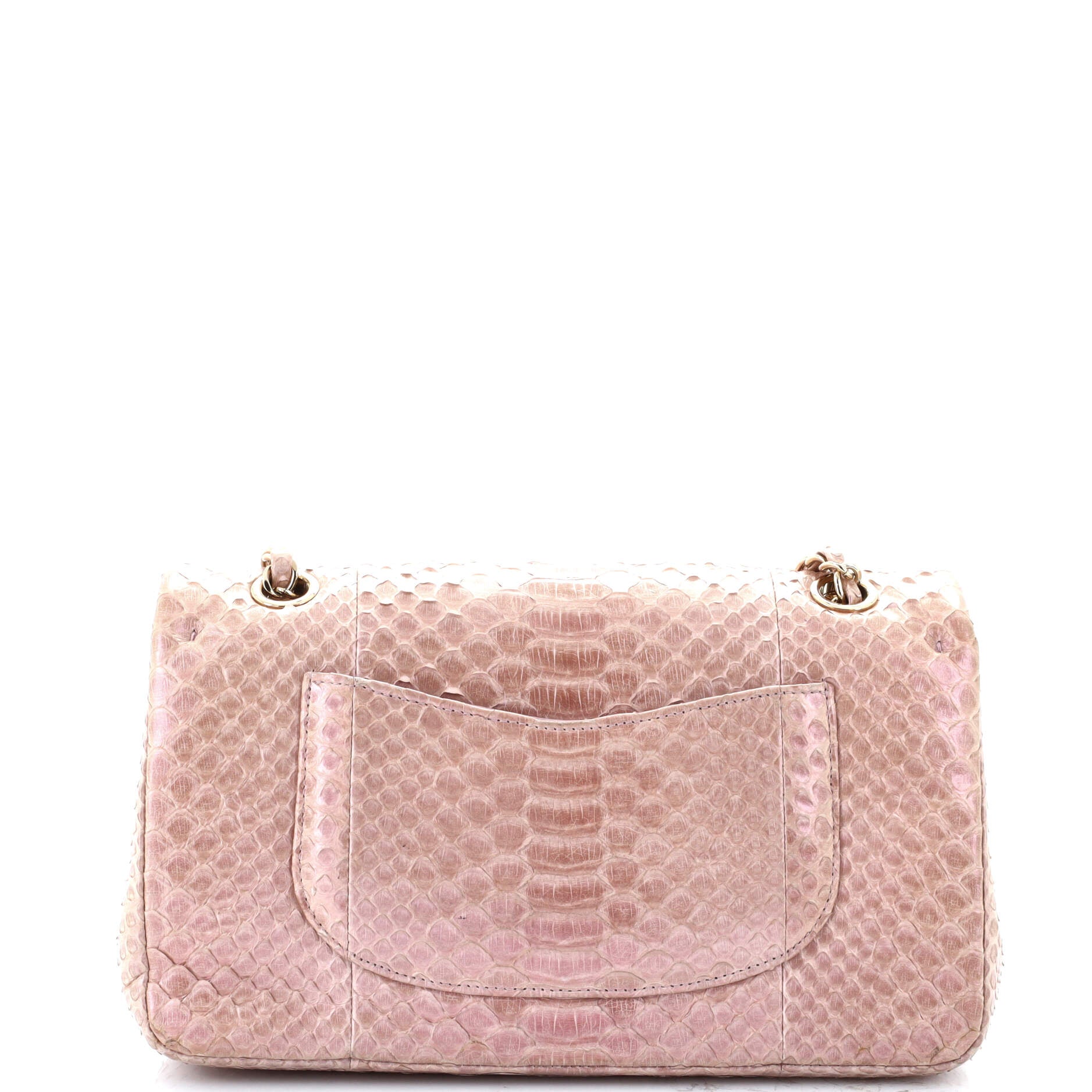 Chanel Classic Double Flap Bag Iridescent Python Medium