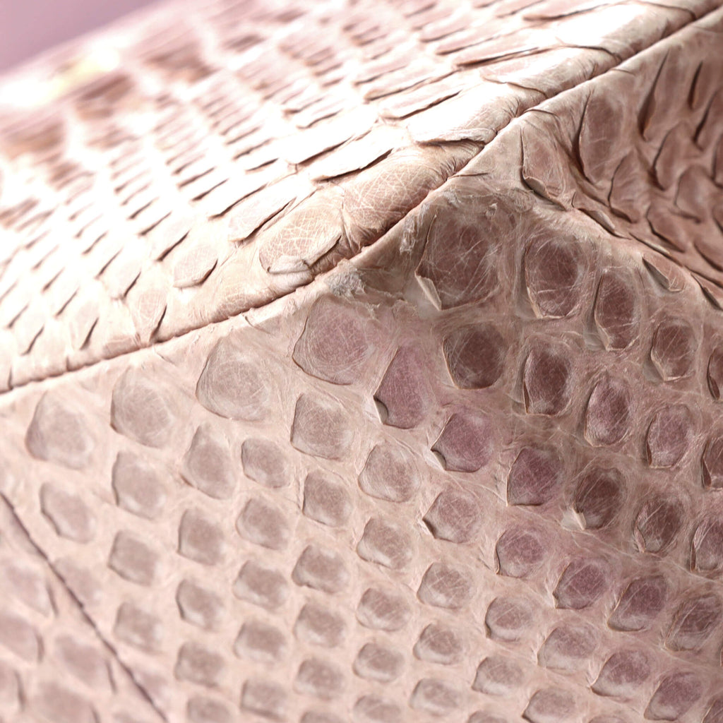 Chanel Classic Double Flap Bag Iridescent Python Medium