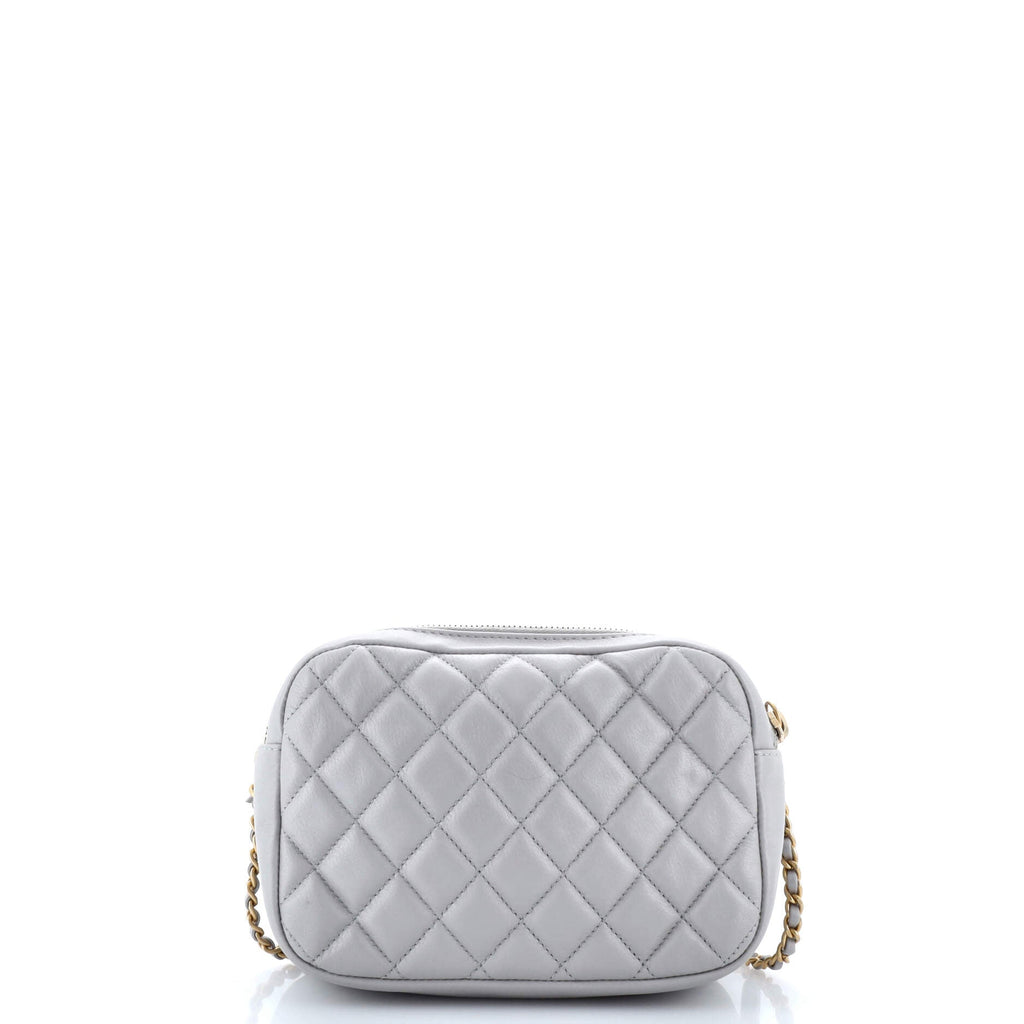Chanel Day Trips Camera Case Bag Quilted Calfskin