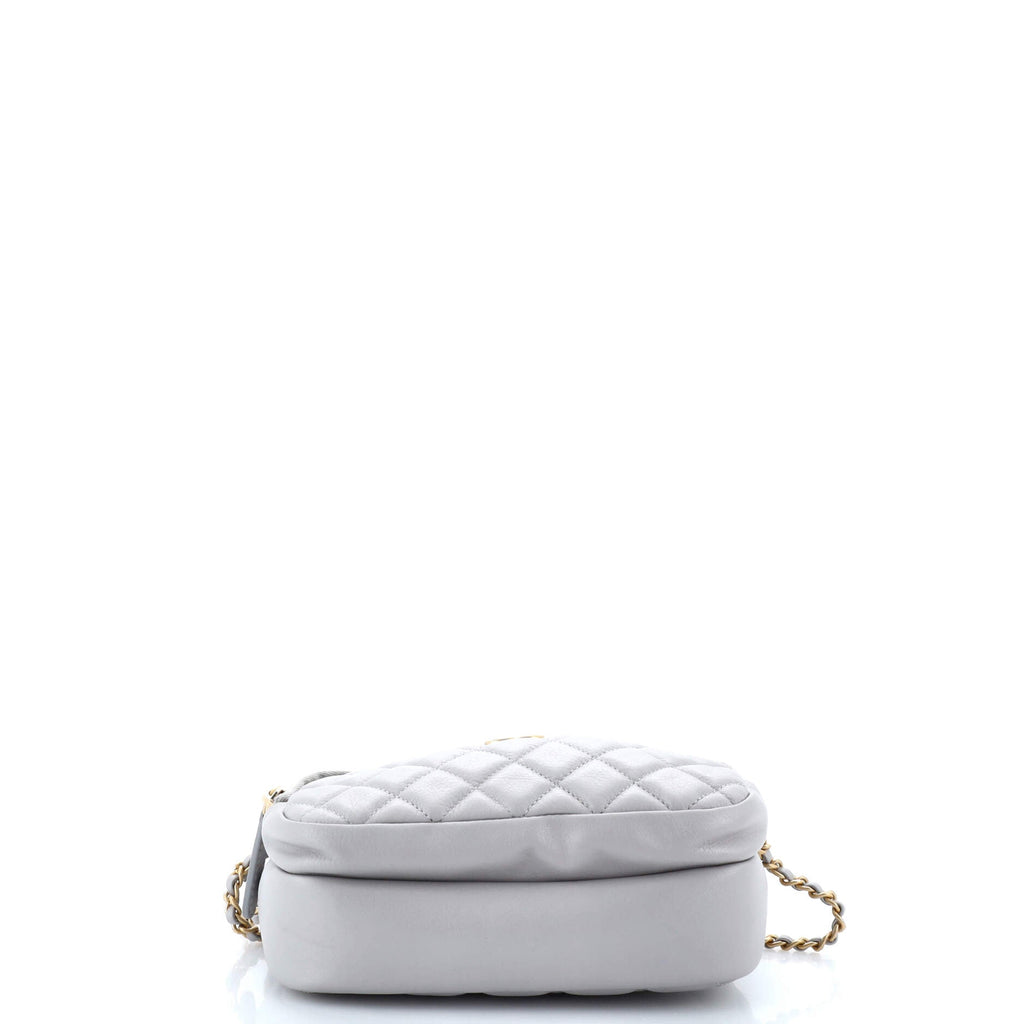 Chanel Day Trips Camera Case Bag Quilted Calfskin