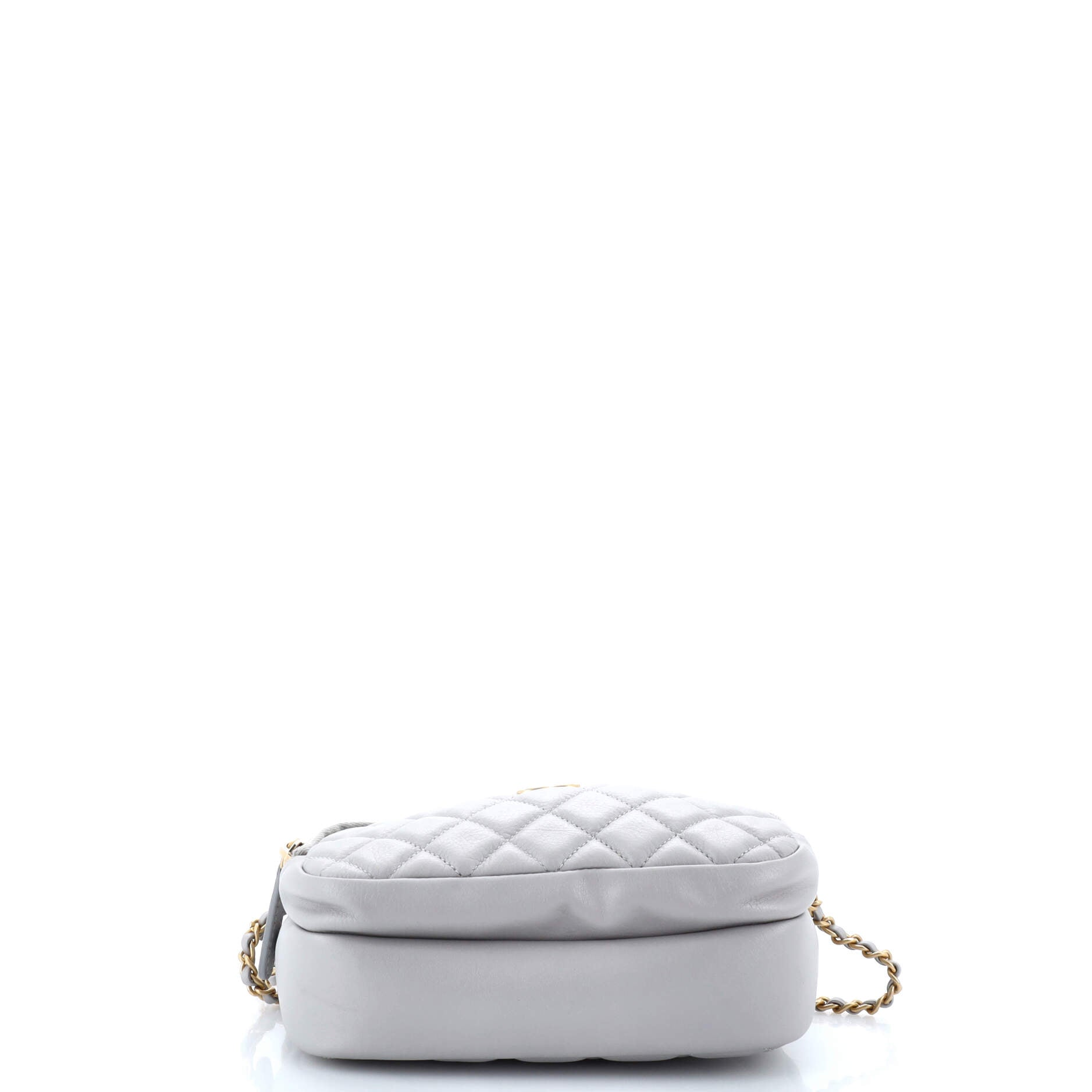 Chanel Day Trips Camera Case Bag Quilted Calfskin