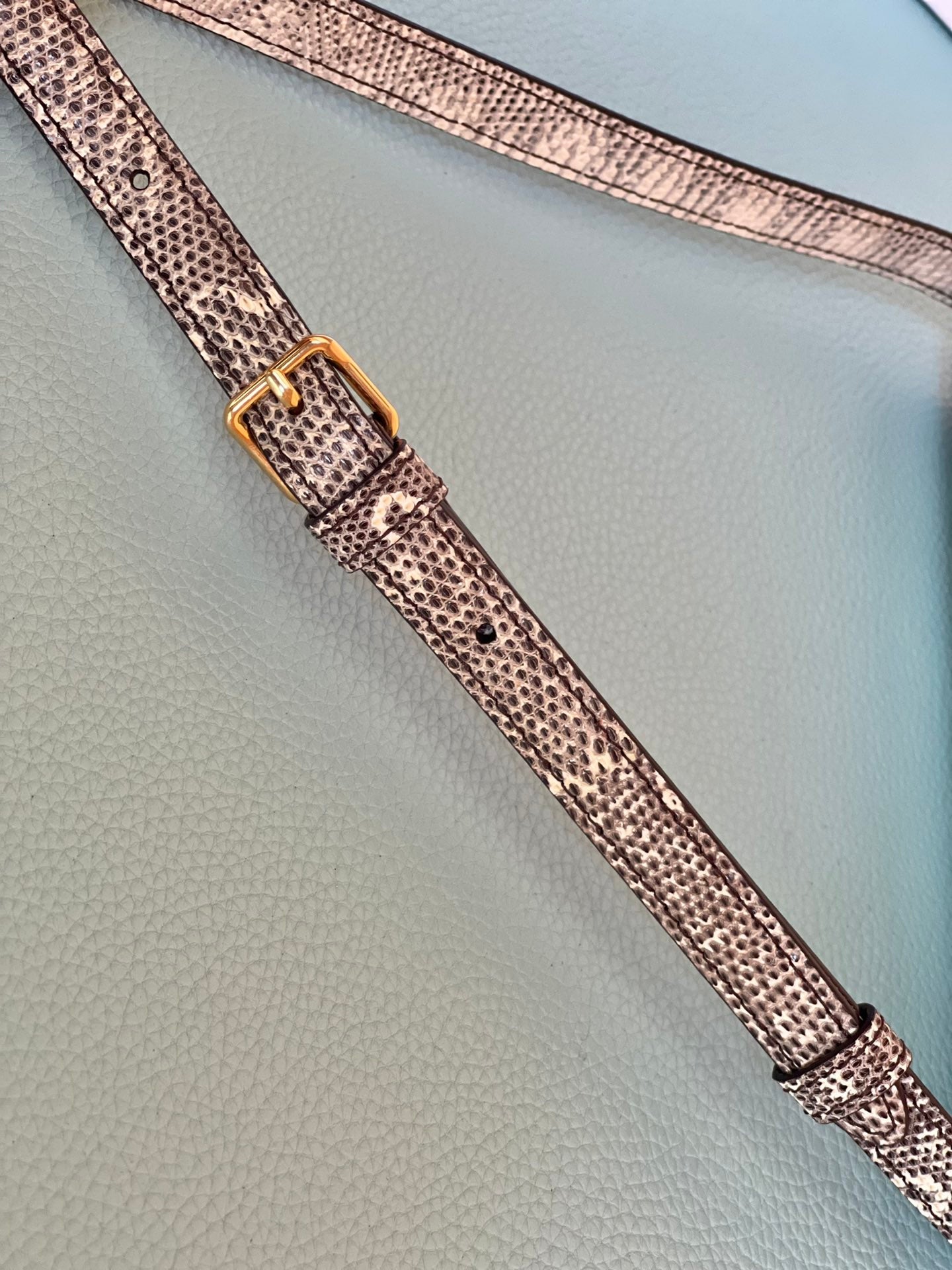 Triomphe Shoulder Bag In Lizard Natural For Women 8in/20cm 194144BF5.02VG
