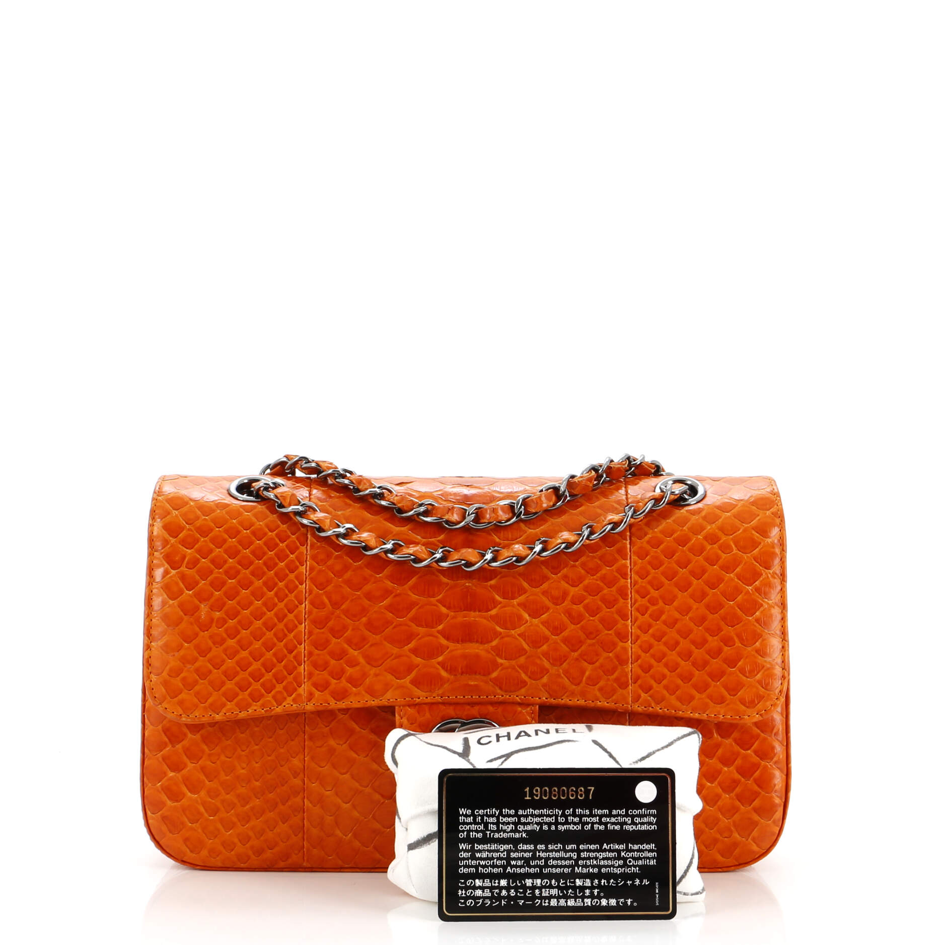 Chanel Classic Double Flap Bag Python Medium