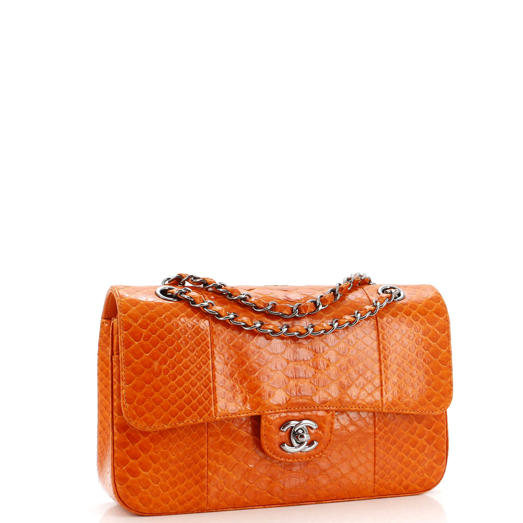 Chanel Classic Double Flap Bag Python Medium