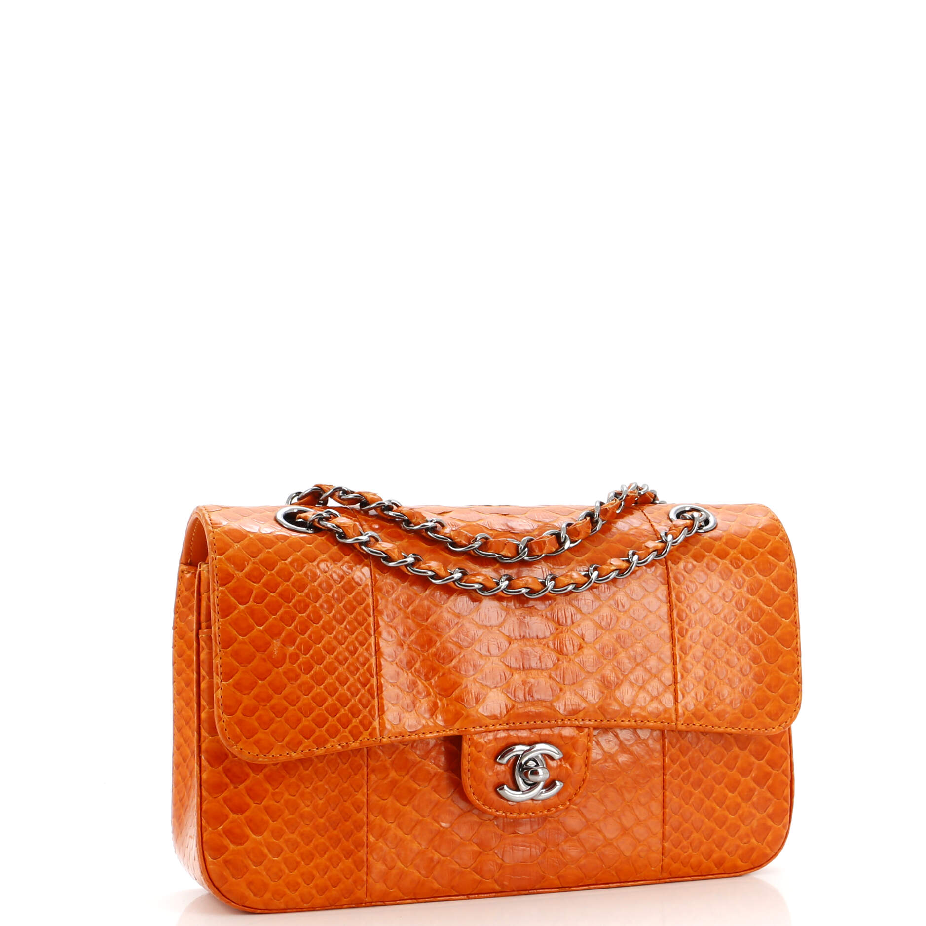 Chanel Classic Double Flap Bag Python Medium