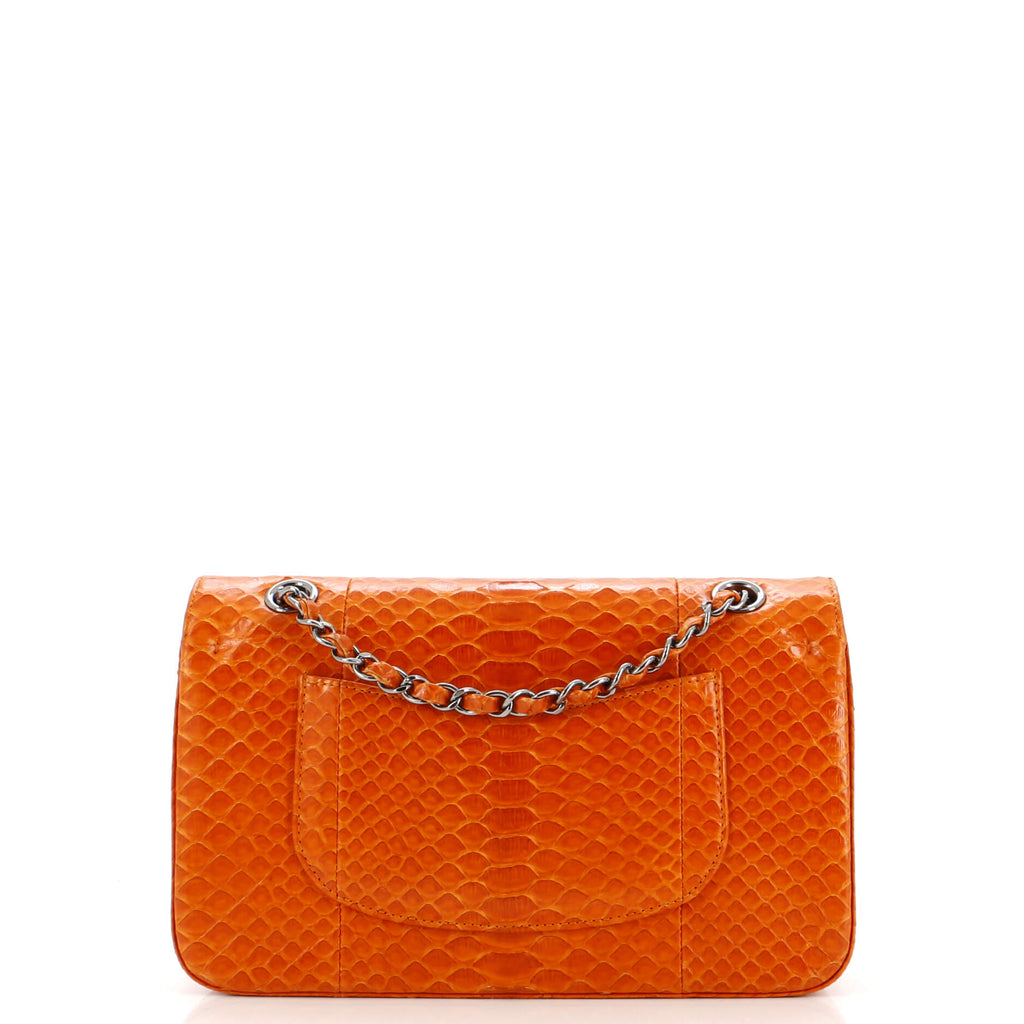 Chanel Classic Double Flap Bag Python Medium