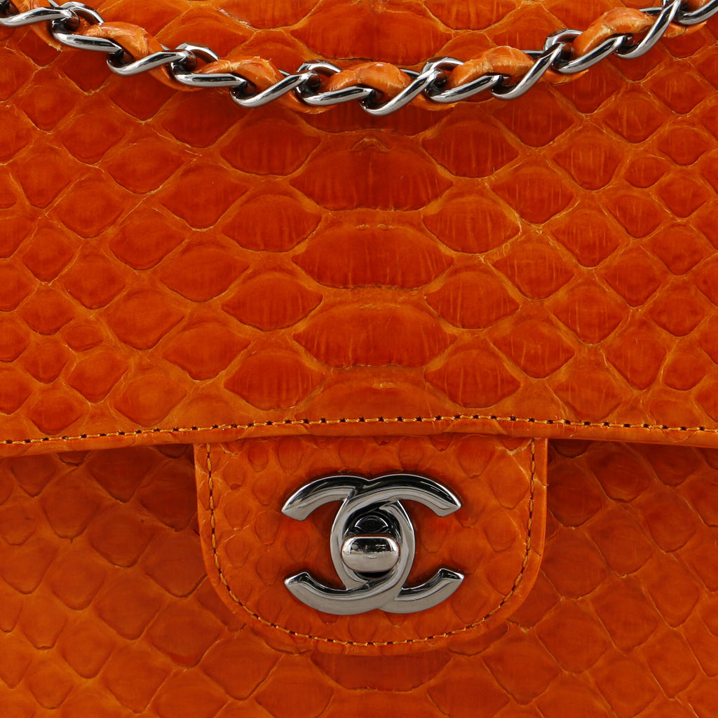 Chanel Classic Double Flap Bag Python Medium