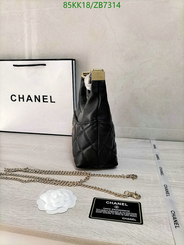 Chanel Bags Crossbody - 179