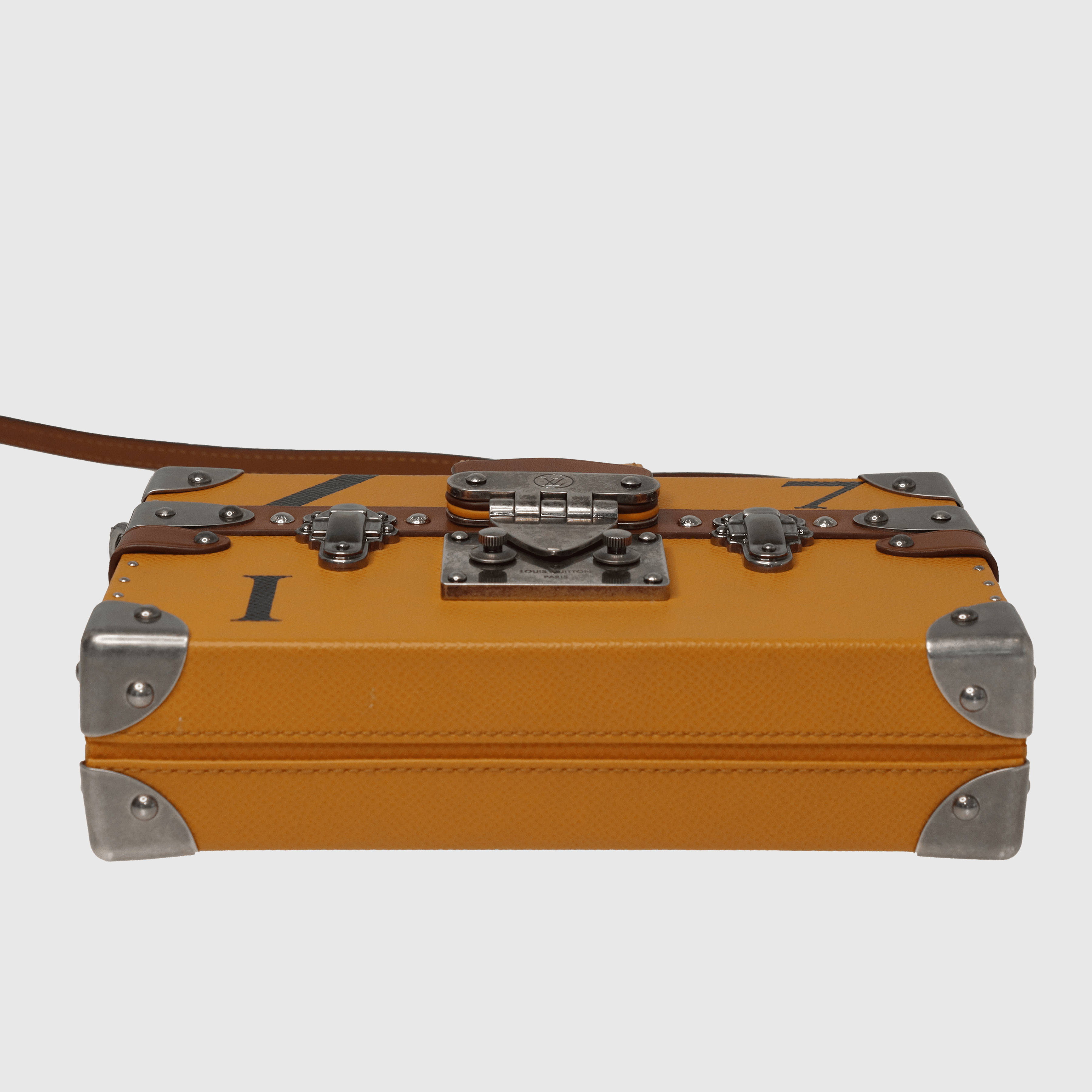 Mustard/Brown Petite Malle Croisière Clutch - Fall 2015