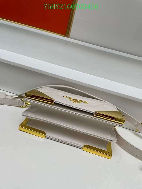 Prada Bags - The Luxera Bags  124