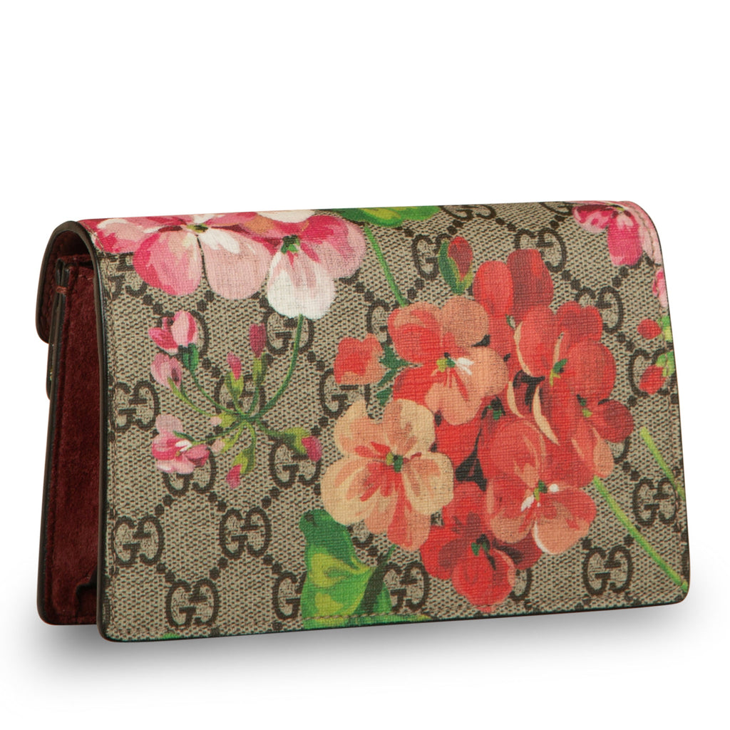 Dioronysus Gucci Supreme Mini Bag Blooms