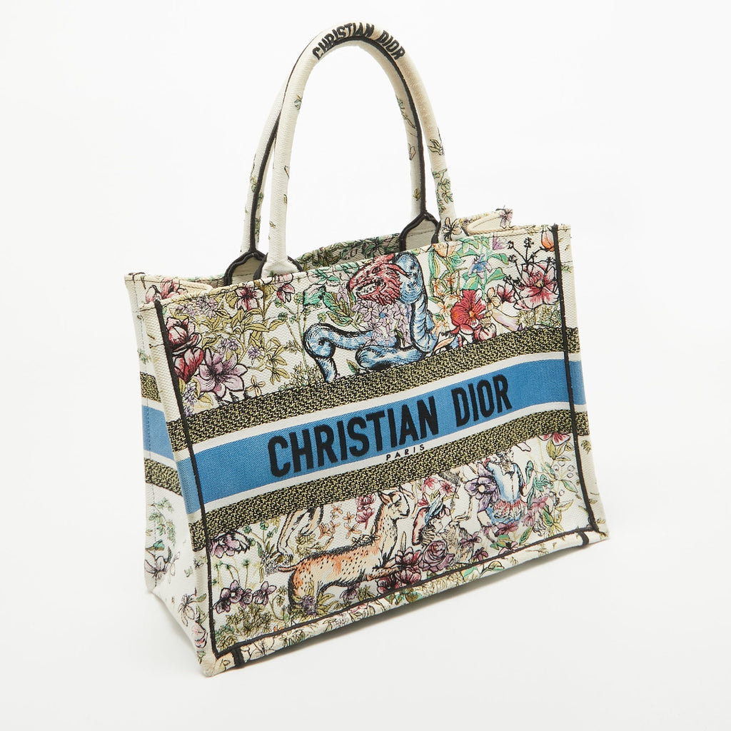 Dior color Embroidered Canvas Medium Book Tote
