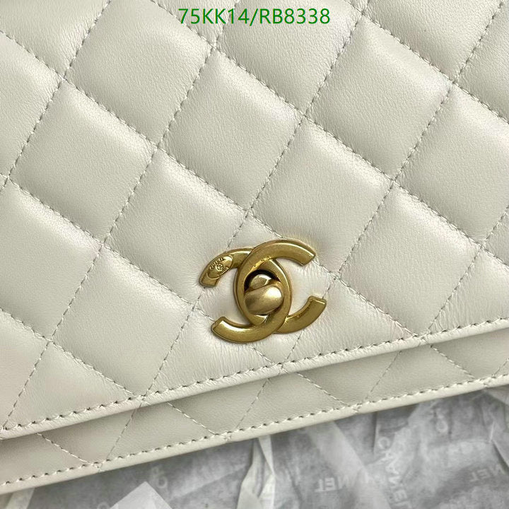 Chanel Bags Crossbody - 193